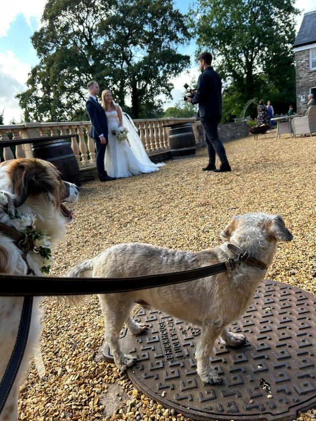 Together Furever Weddings - 4