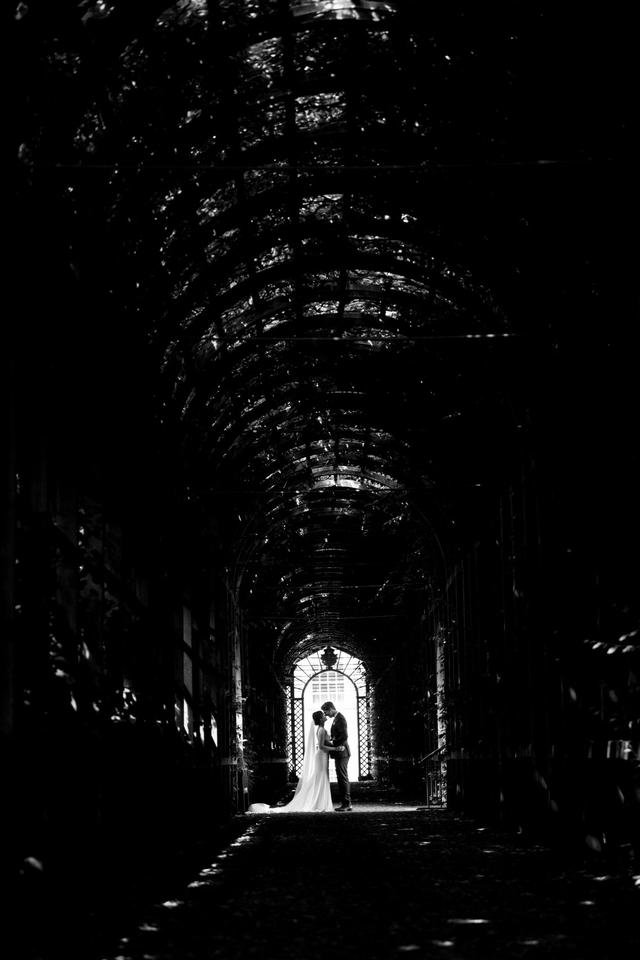 Roger Brown Photography - 2