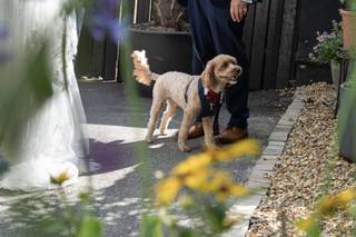 Gavin Haworth Photography - 9