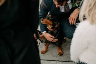 Paws Of Honour - 8