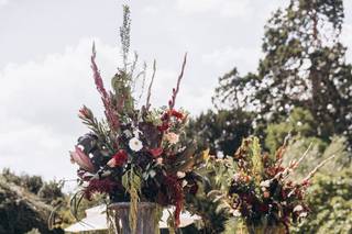 Flowers Evolution - 5
