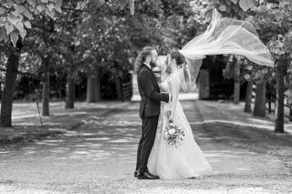 Steve Regan Photography - 6