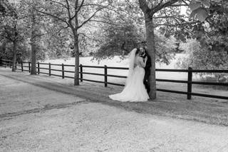 Steve Regan Photography - 7