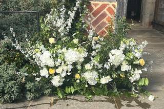 Flowers by Holly Tree - 6