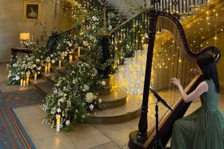 Dorothy Harpist - 5