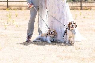 Neil Baxter Photography - 6
