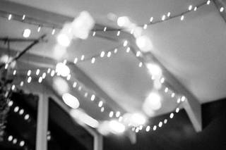 Paul Budzinski Photgraphy - 7