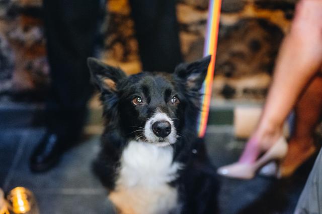 Paul Budzinski Photgraphy - 4