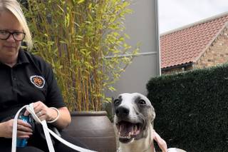 BOW-Tiful by Kate - 7