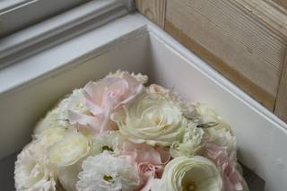 Lily Cora Flowers - 10