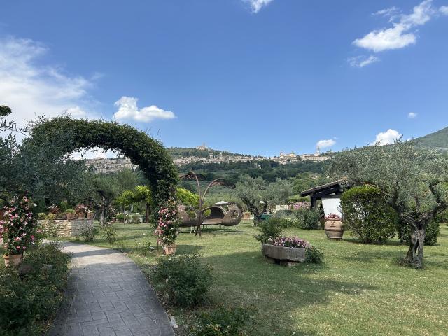Tenuta San Masseo - 4