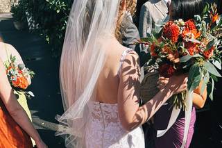 Brides Dress Revisited - 5