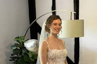 Brides Dress Revisited - 7