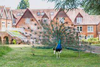 Helen Weir Photography - 5