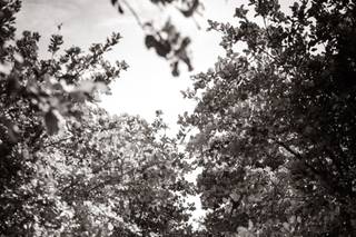 David Potter Photography - 10