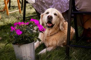 Catherine Cronin Photography - 13