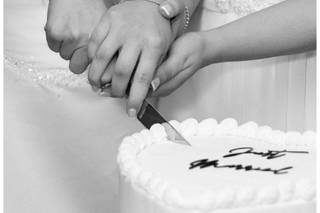 Kate Brignell Photography - 1