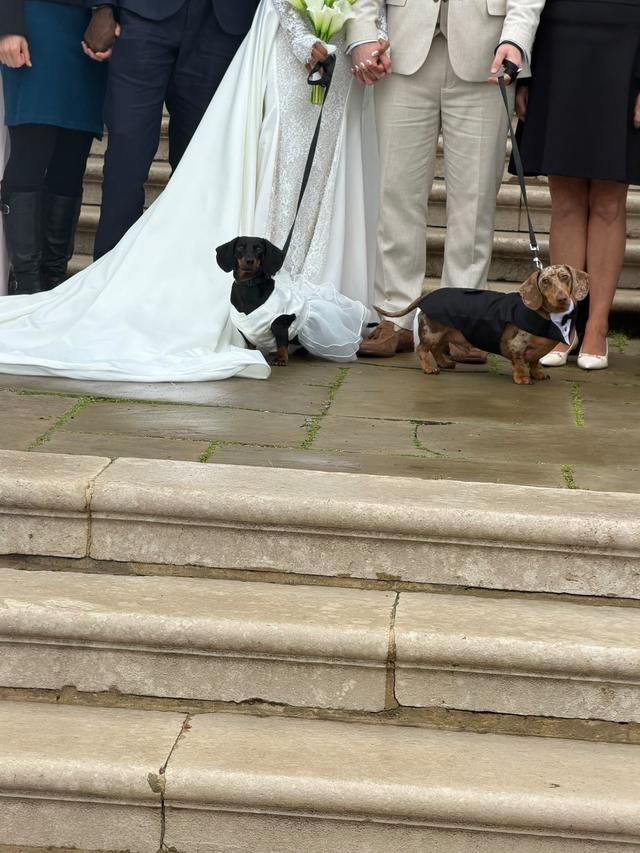 Can't say I do without you - Dog Chaperone - 2