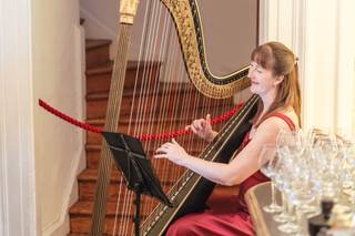 Heather Wrighton - Harpist - 5