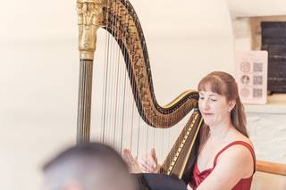 Heather Wrighton - Harpist - 7