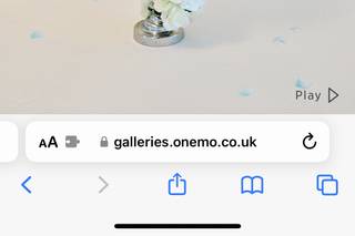 Fleur Floraison - 7