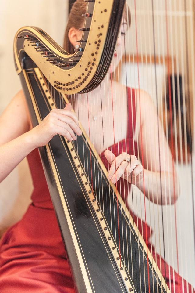 Heather Wrighton - Harpist - 3