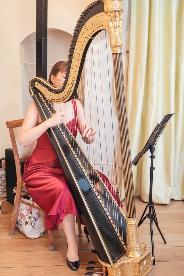 Heather Wrighton - Harpist - 4