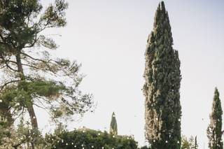 Tenuta Riseccoli - 17