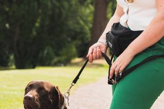 Healthy Paws - Dog Wedding Chaperone Service - 5