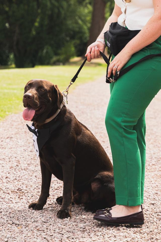 Healthy Paws - Dog Wedding Chaperone Service - 2