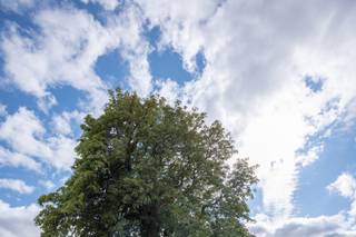 Country and Leisure - 8