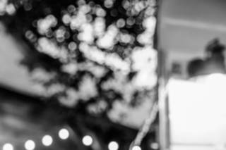 Emily Thomson Photography - 4