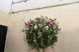 Green Daisy - 5