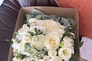 The Bloom Room - 6