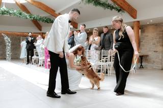 Healthy Paws - Dog Wedding Chaperone Service - 14