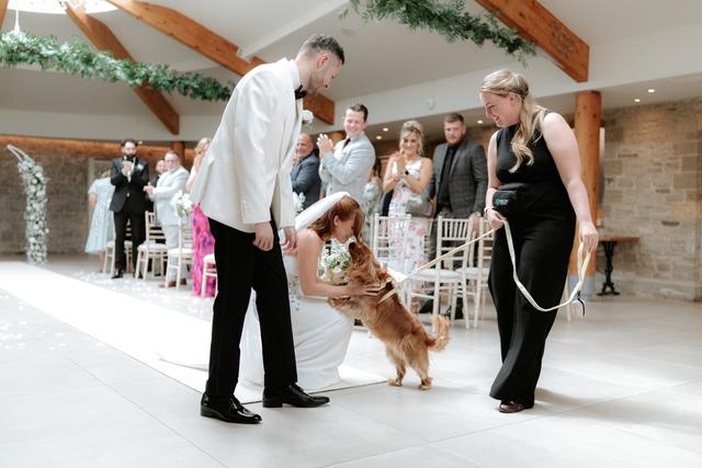 Healthy Paws - Dog Wedding Chaperone Service - 4