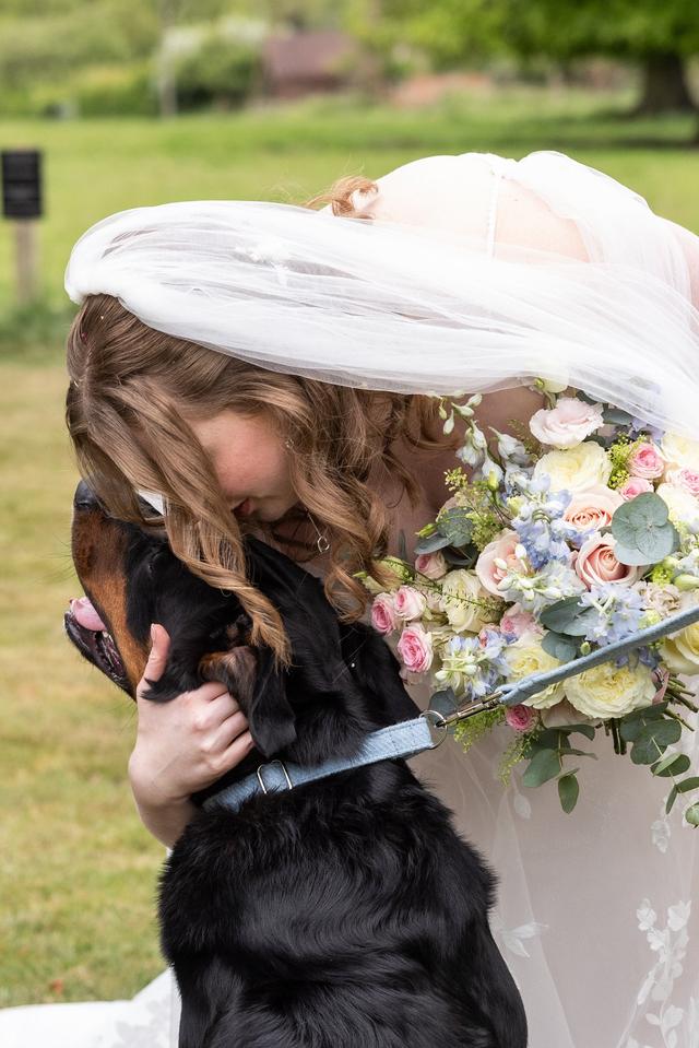 Ani Evans Photography - 2