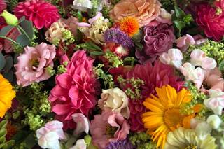 The Rockery - 8