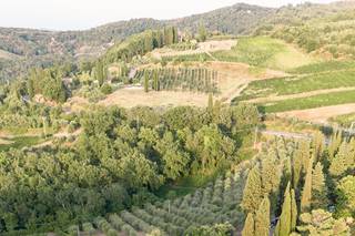 Tenuta Riseccoli - 16