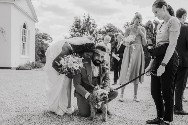 Hannah's Wedding Dog Chaperone - 1
