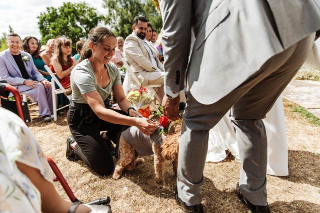 Hannah's Wedding Dog Chaperone - 3