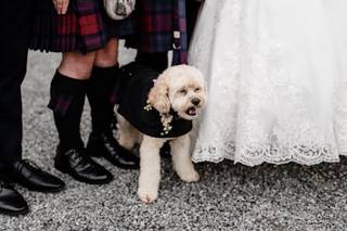 Dearly Photography - 5