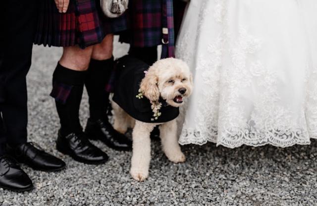 Dearly Photography - 1