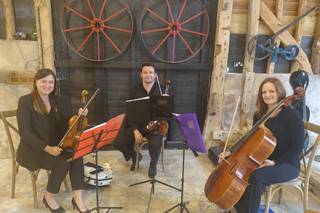 The Sparkling Celebrant - 31