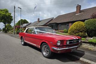 Shabang Car Hire - 10