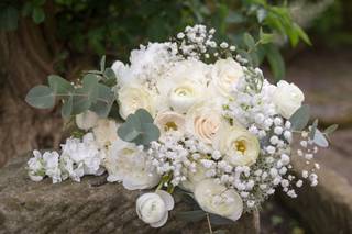 Kane Young Photography and Videography - 15