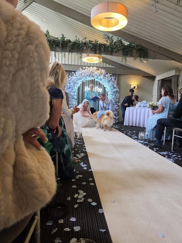 Suzie The Celebrant - 2