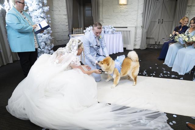 Suzie The Celebrant - 1