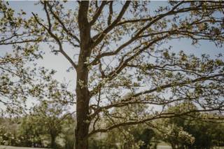 Crondon Park - 5