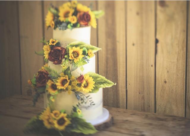 Baker Cake - 4